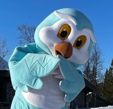 Flaks Yngve Ask Vinter