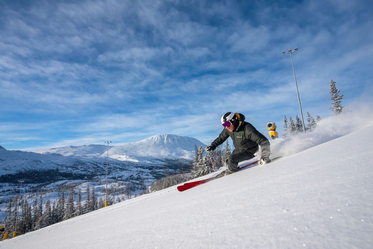 Gausta Skisenter Bjørn Gaustatoppen 2 D