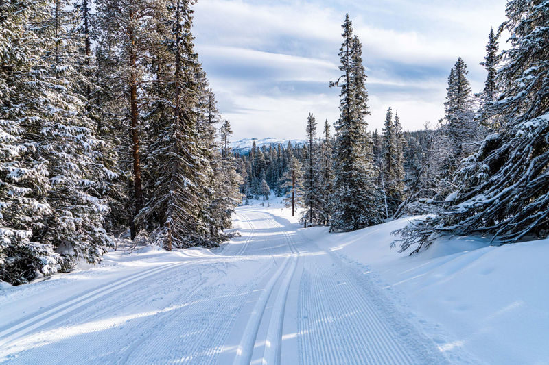 Shutterstock 2133520757 7 J83qkr (1)