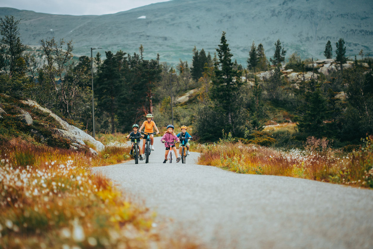 Sykling Kvitåvatn Rundt Sensommer Høst (5)