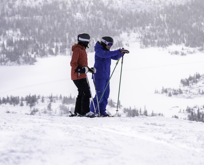 Ski Pro Yngve Ask Vinter Ski (2) Liten