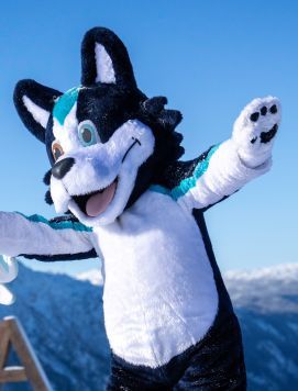 Huski Close up Vinter Yngve Ask 271x356