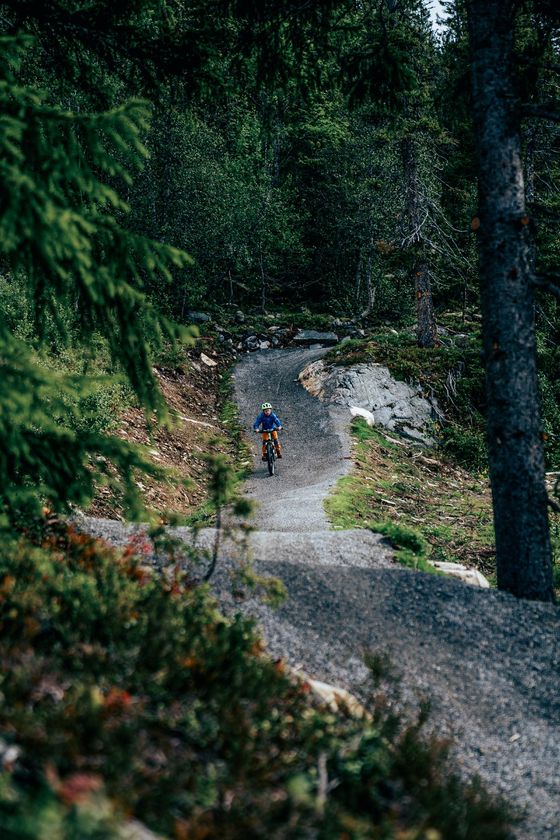 Sykling Sommer Sykkel Biking Bike (22) Liten Redigert