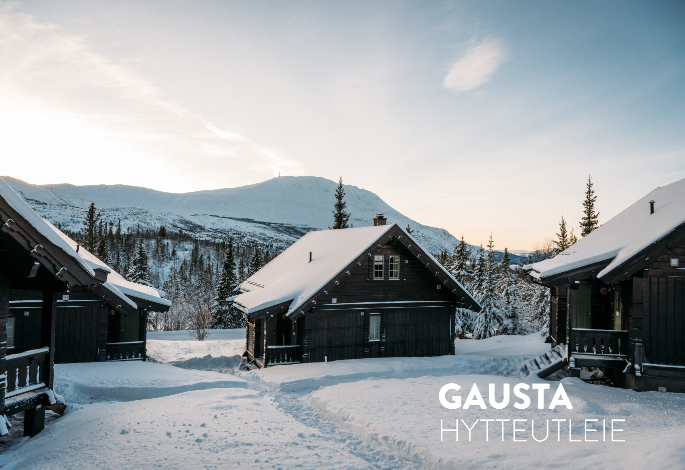 Gausta Hytte & Leiligheter Spotlio Full Image With Logo 1366 X 936